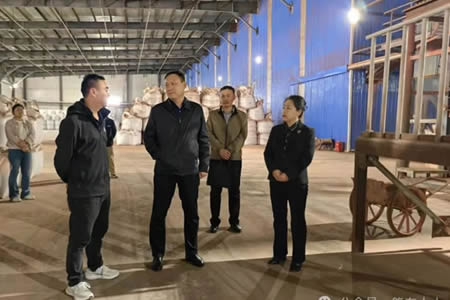 绥化市人大副主任刘鹏到我市调研包联企业
