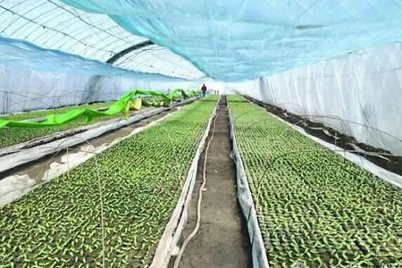 �ض���Ͻ���ؼ��ܻ��� 4����Ѯ�������ʡ�����