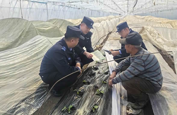 �ض��й����ֲ����ɳ����������ػ�������������