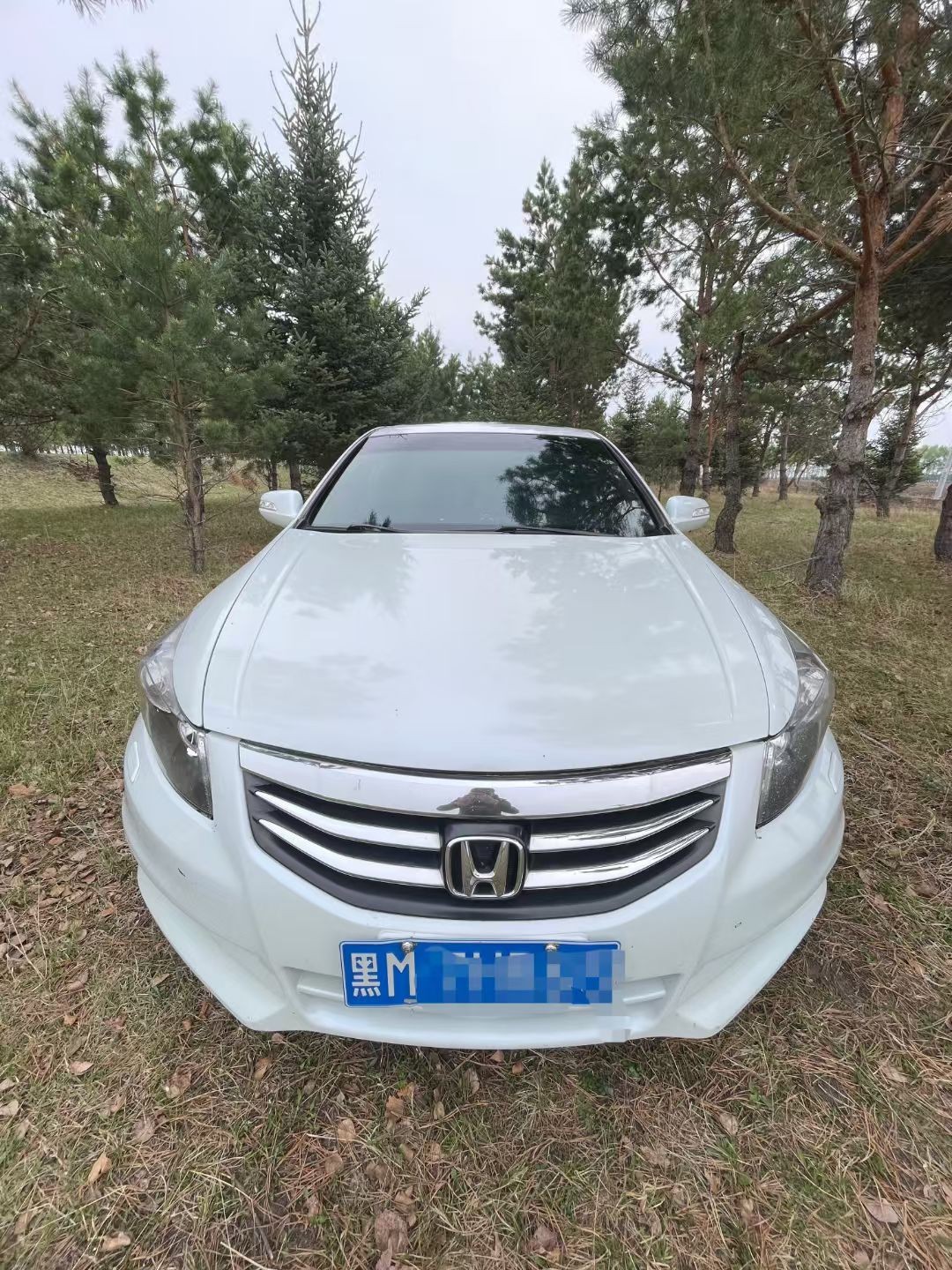 �Ÿ�˴�2.4�������