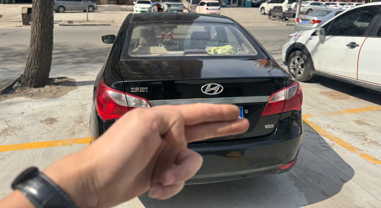 11���ִ��ö�