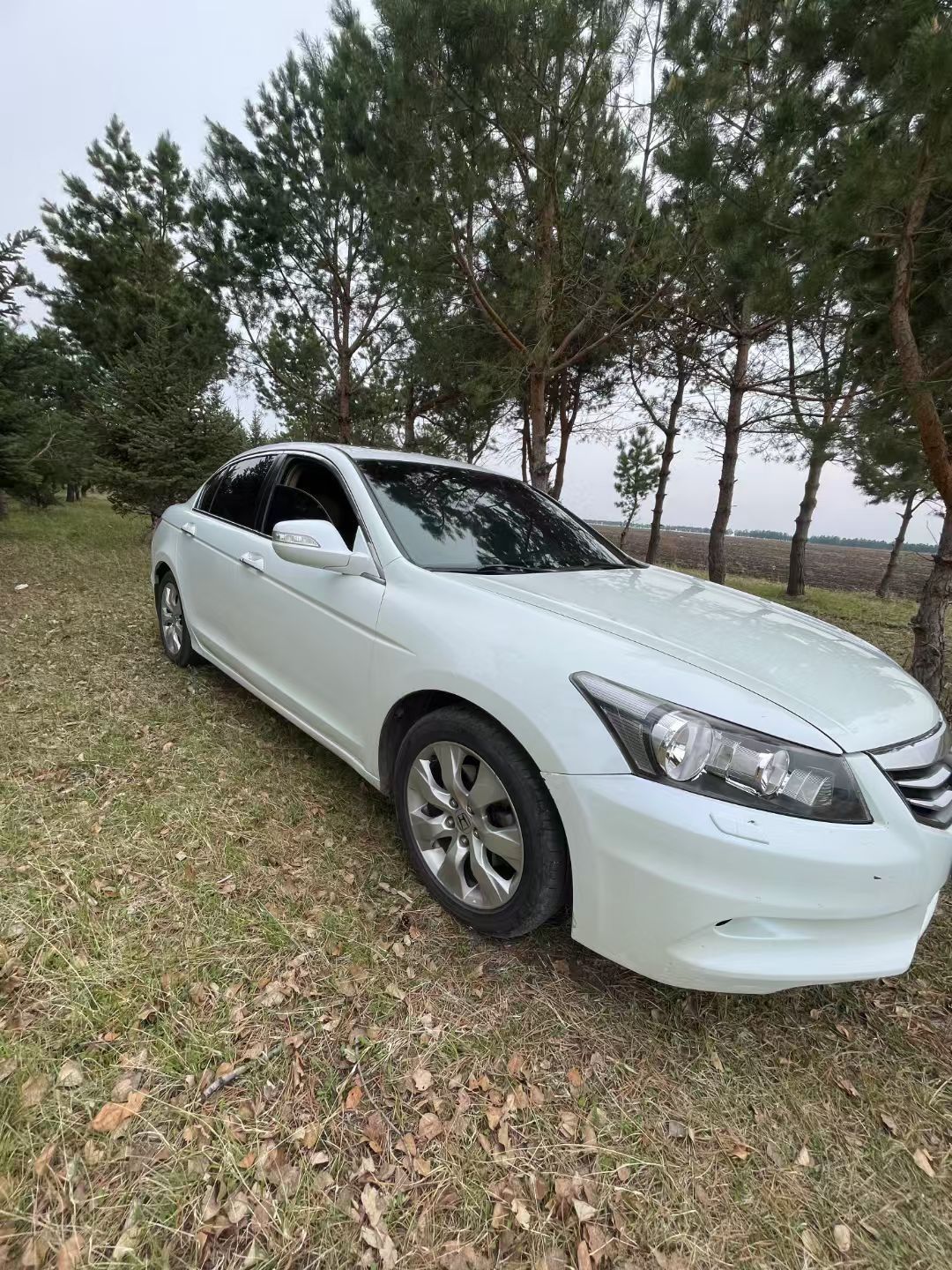 �Ÿ�˴�2.4�Ŀ�